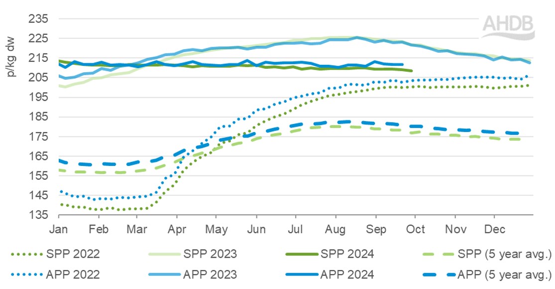 GB pig prices Oct 2024